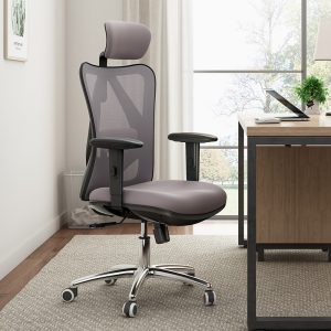SIHOO High Back Ergonomic Office Chair with Adjustable Headrest