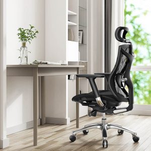 Sihoo Ergonomic Office Chair Breathable Mesh with Armrest