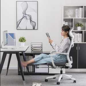 SIHOO Ergonomic Office Chair High Back and Padded with Footrest M81C